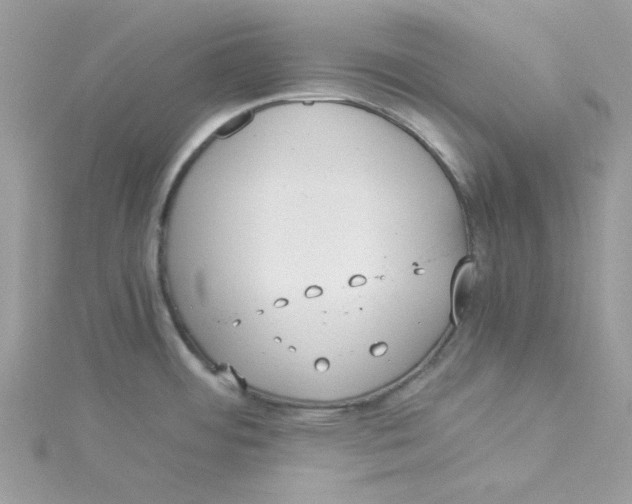 X0000114541484200911161346