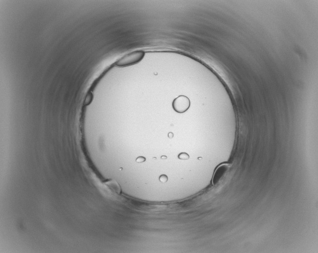 X0000114541485200911161346