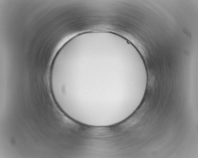 X0000114541486200911161346