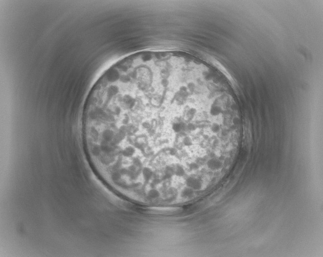 X0000114541487200911161346