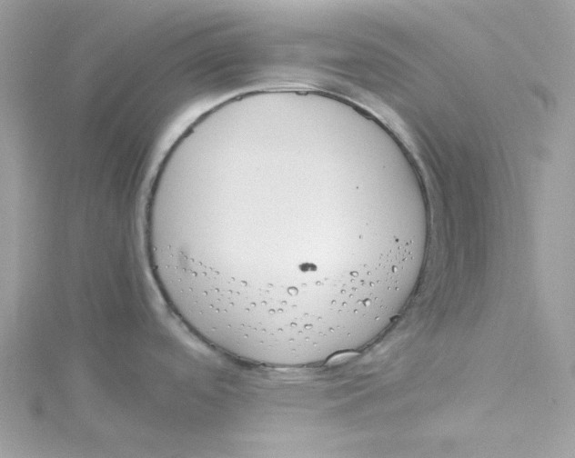 X0000114541488200911161346