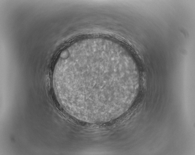 X0000114541493200911161346