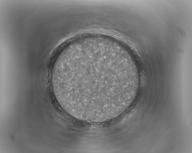 X0000114541494200911161346