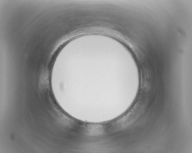 X0000114541498200911161346