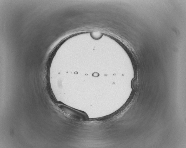 X0000114541502200911161346