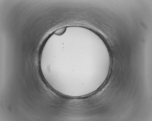 X0000114541506200911161346