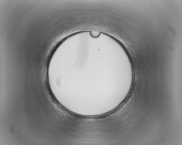 X0000114541507200911161346