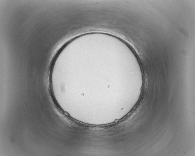 X0000114541511200911161346