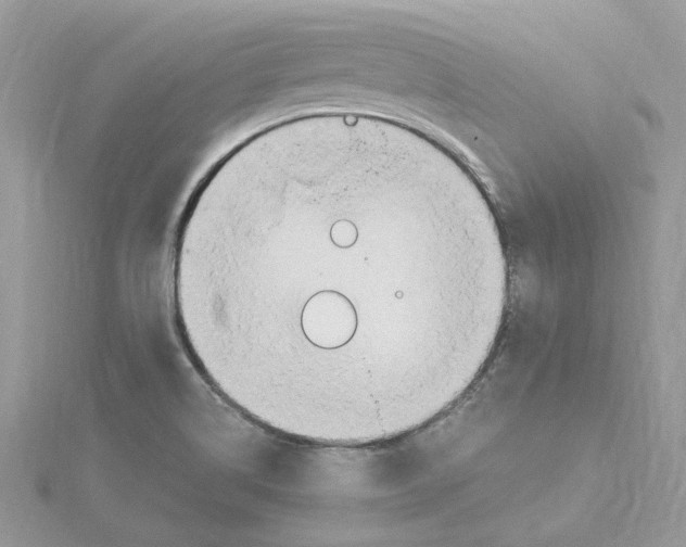 X0000114541514200911161346