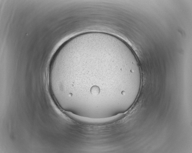 X0000114541515200911161346