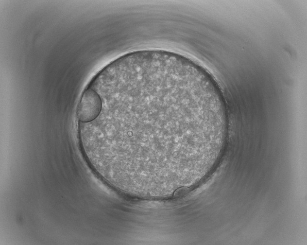 X0000114541517200911161346