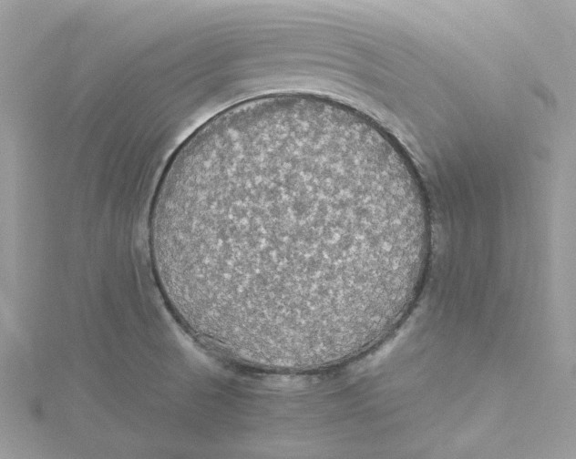 X0000114541521200911161346