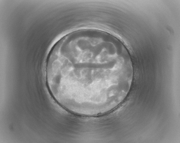 X0000114541522200911161346