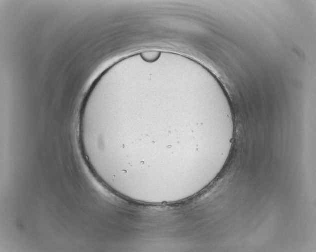 X0000114541523200911161346