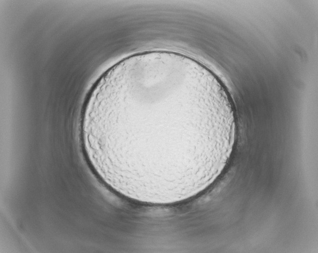 X0000114541525200911161346