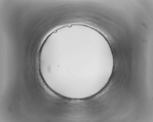 X0000114541526200911161346