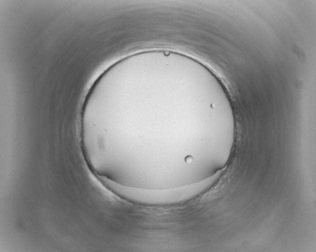 X0000114541527200911161346