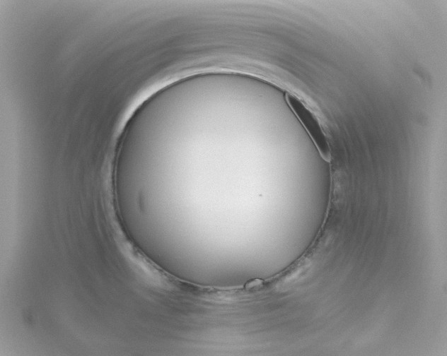 X0000114541530200911161346