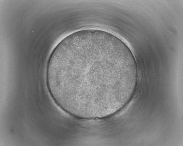 X0000114541533200911161346