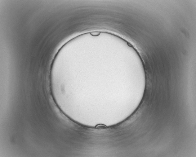 X0000114541534200911161346