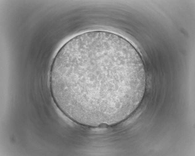 X0000114541535200911161346