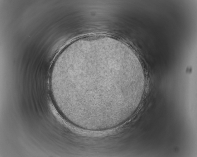 X0000114540002200911301212