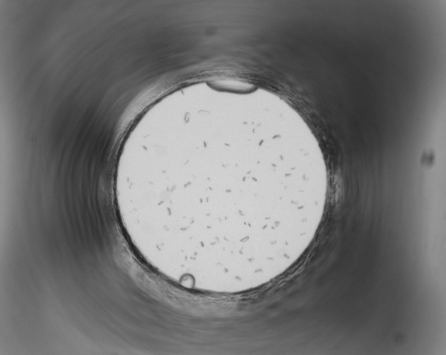 X0000114540004200911301212