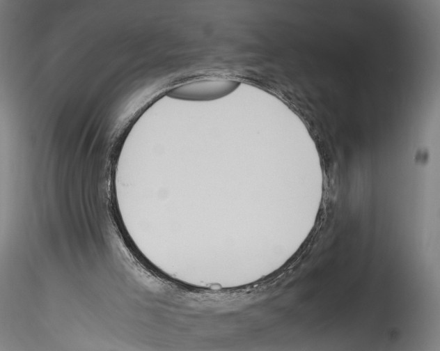 X0000114540005200911301212