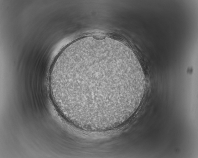 X0000114540006200911301212