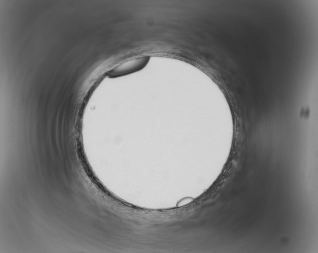 X0000114540007200911301212