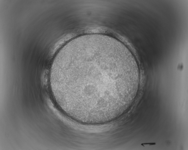 X0000114540010200911301212