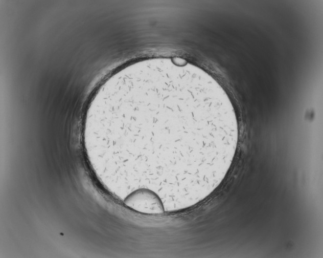 X0000114540012200911301212