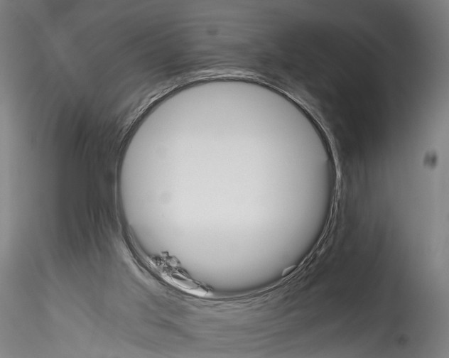 X0000114540013200911301212