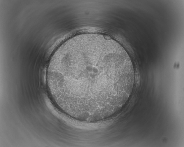 X0000114540014200911301212