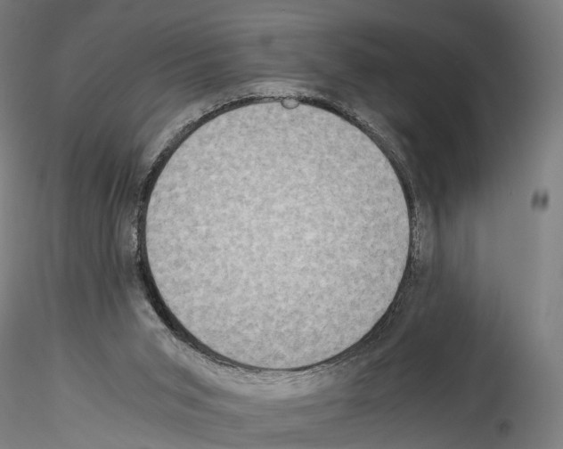 X0000114540015200911301212