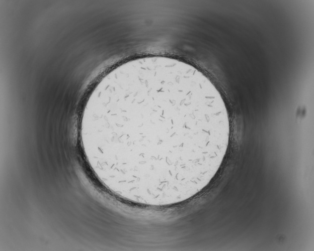 X0000114540016200911301212