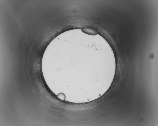 X0000114540017200911301212