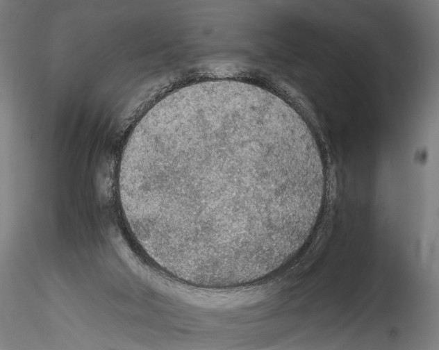 X0000114540018200911301212