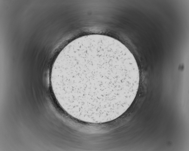 X0000114540020200911301212