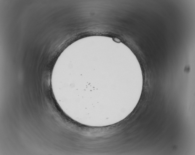 X0000114540021200911301212