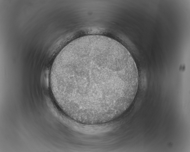 X0000114540022200911301212