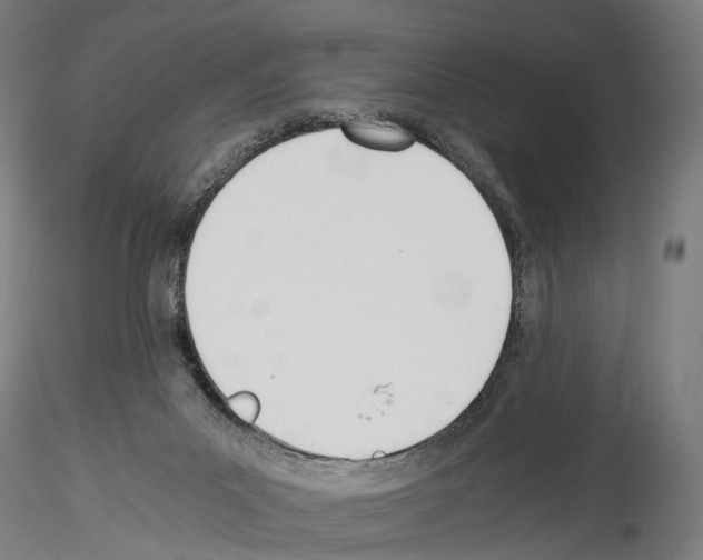 X0000114540023200911301212