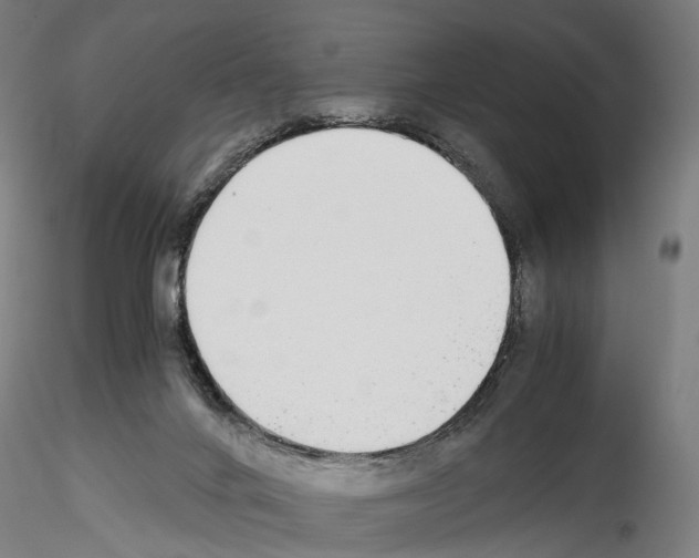 X0000114540024200911301212