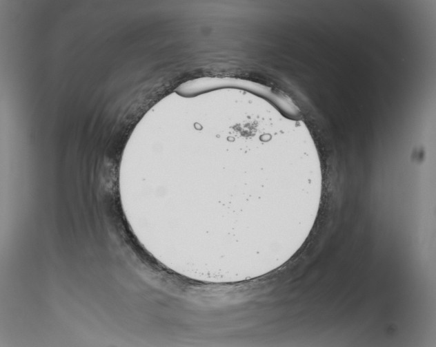 X0000114540025200911301212