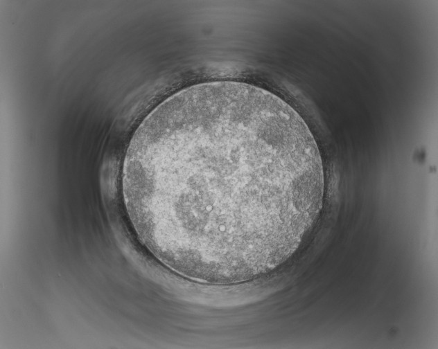 X0000114540026200911301212