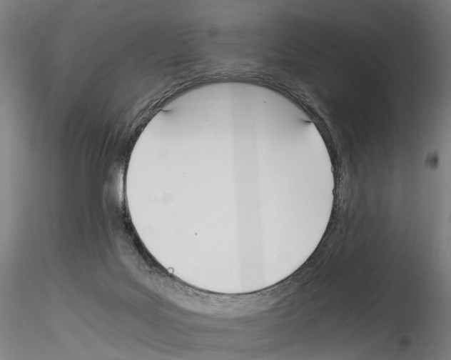 X0000114540027200911301212