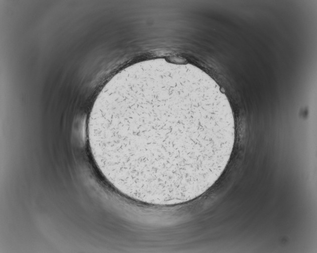 X0000114540028200911301212