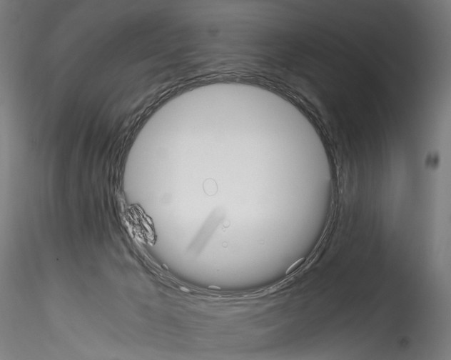 X0000114540029200911301212