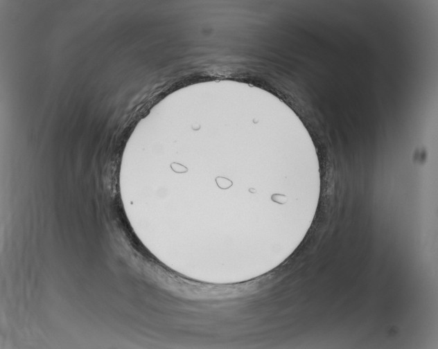 X0000114540031200911301212