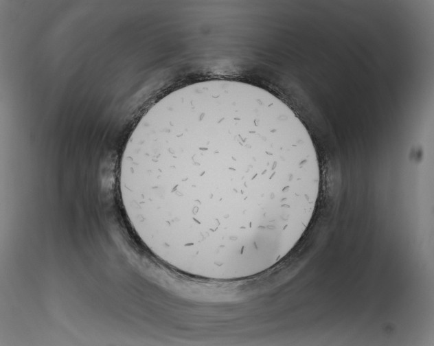 X0000114540032200911301212